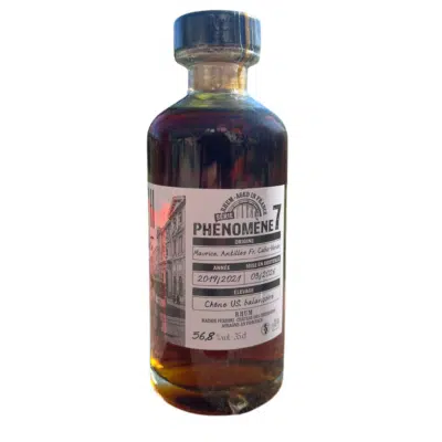 Phénomène 7 - balançoire